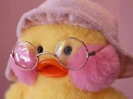 小鸭子小豆眼两团腮红叫什么?cafemimi玻尿酸鸭附表情包