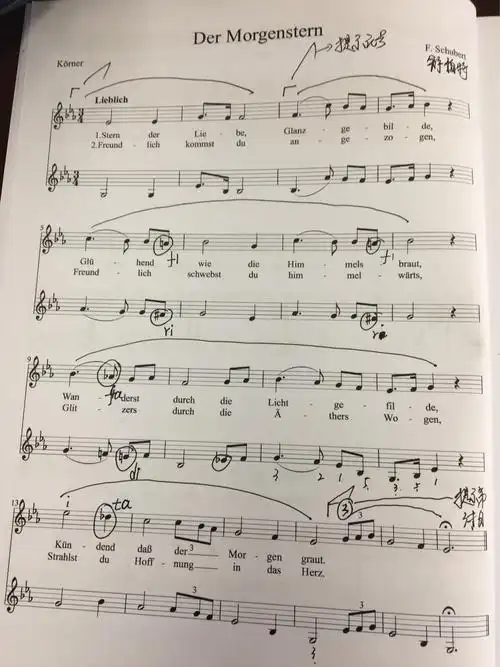 伊教学法培训,上午依托作品讲解教学过程中的技巧教法及合唱指挥技法