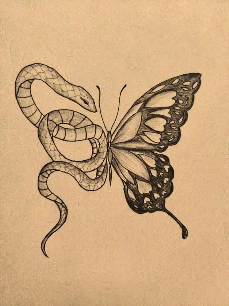 手绘蝴蝶03 #纹身# #手绘临摹# #蝴蝶纹身