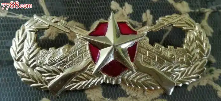 87武井文工团胸标