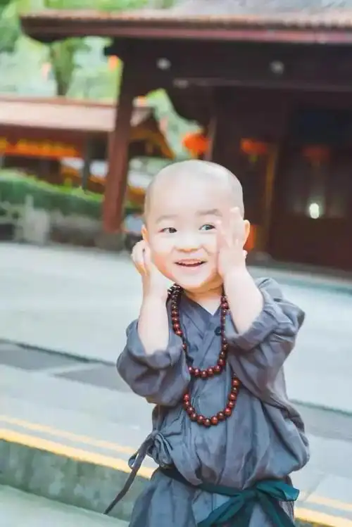 灵隐寺年仅两岁的最萌小和尚