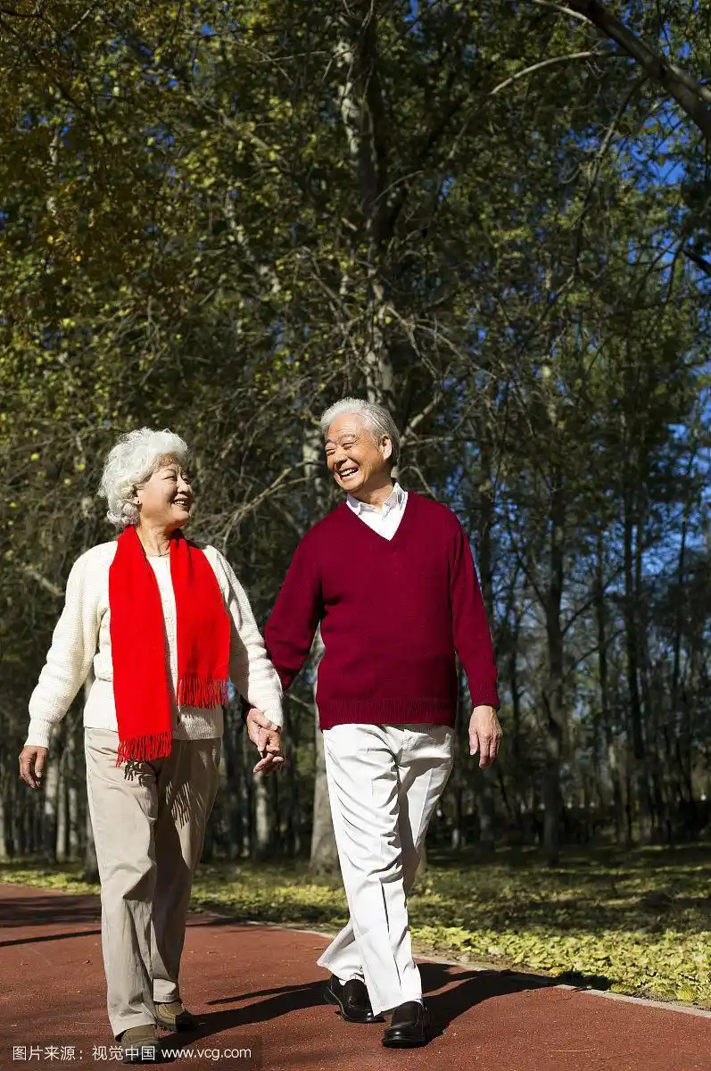 老年夫妇手牵手散步