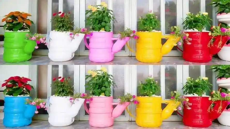 小伙利用回收塑料瓶制作成水壶花盆,这样的设计太奇妙了