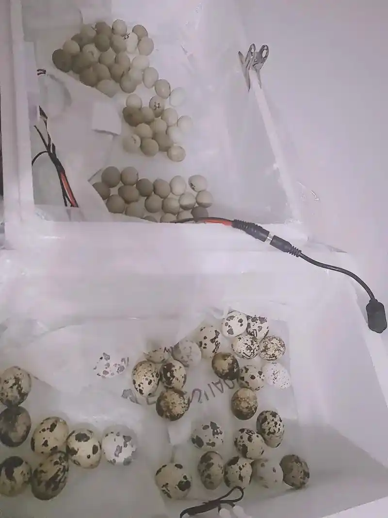 [赞][赞][赞] 1年前·广东 0 分享 回复 刘海雄 .