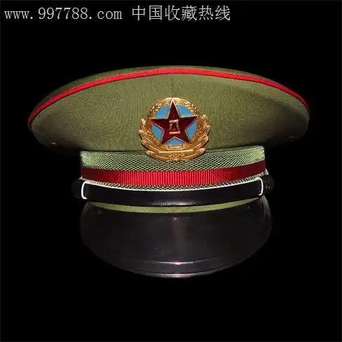 87式陆*大檐帽