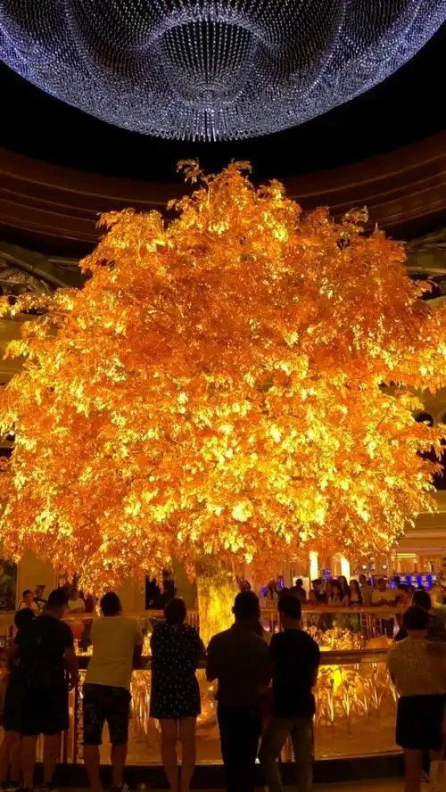 黄金树,见着发财.分享点赞发大财!