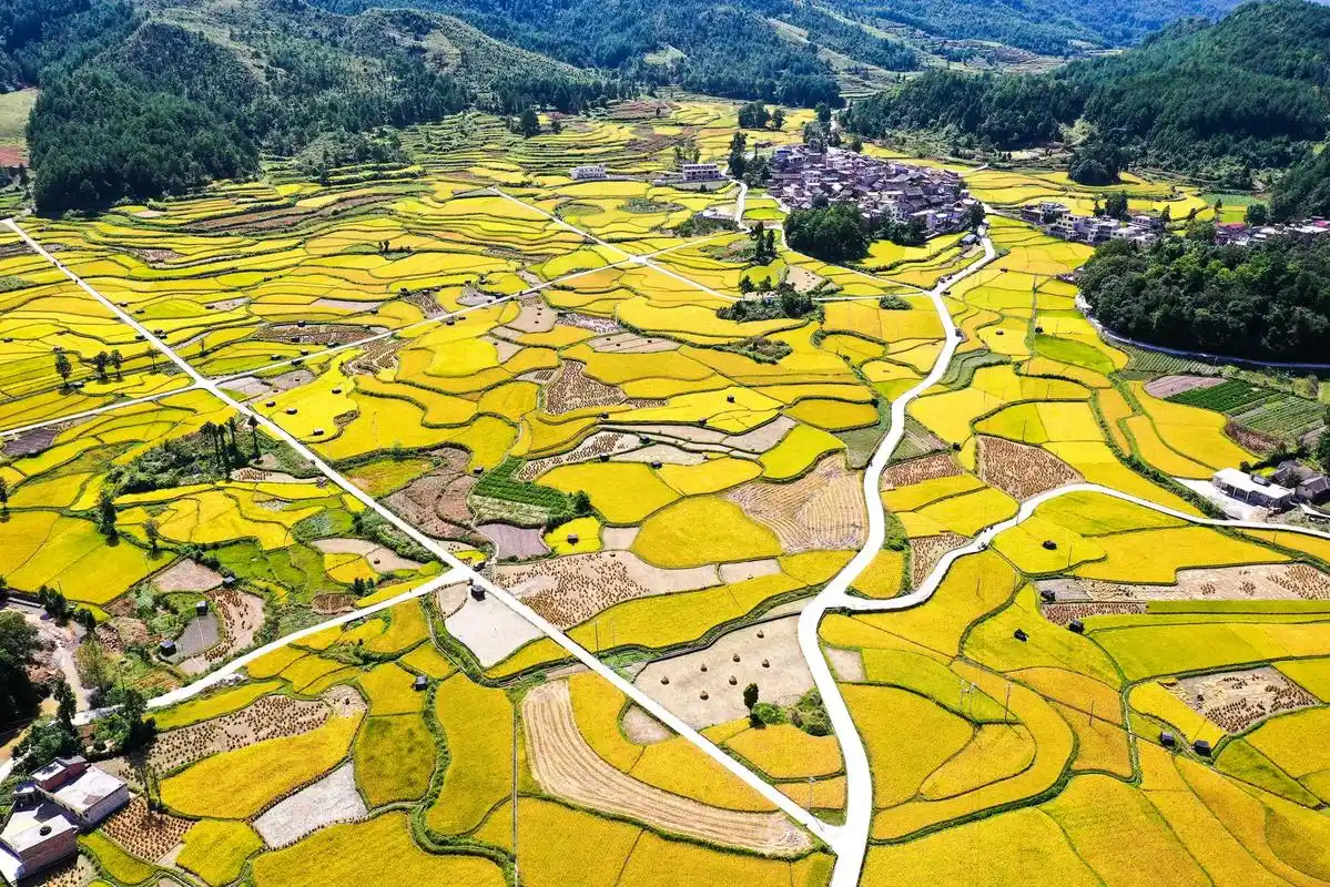 贵州省龙里县湾滩河镇的田园秋色(9月15日摄,无人机照片).