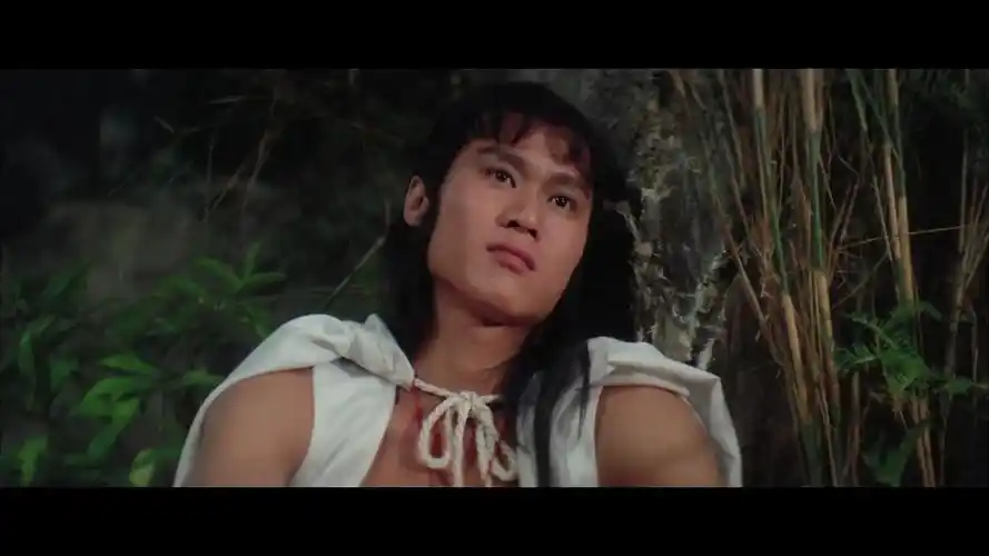 五遁忍术:天豪向日本剑渊下战书,天豪误解纯子的爱慕之情!