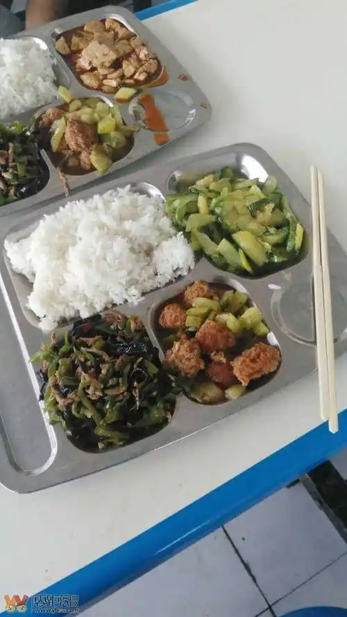 卫校食堂饭菜
