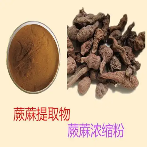 蕨麻浓缩粉 蕨麻速溶粉 蕨麻原粉 斯诺特生物图片