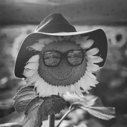 男人黑白头像男人味 高清帅气的头像男成熟魅力黑白图片_男生头像