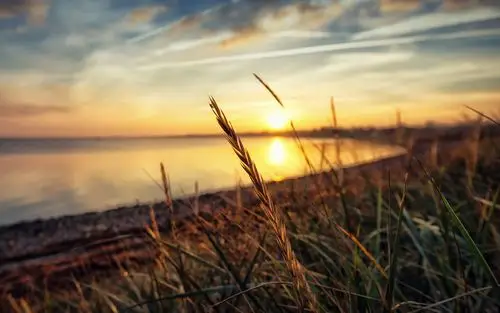 唯美意境阳光桌面壁纸