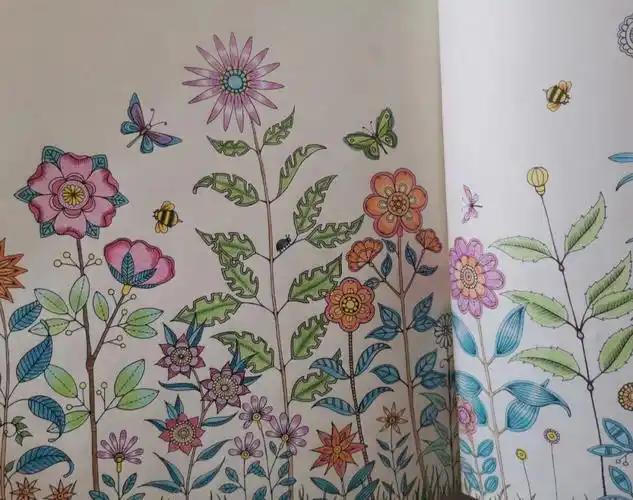 秘密花园涂色6是一朵好花花