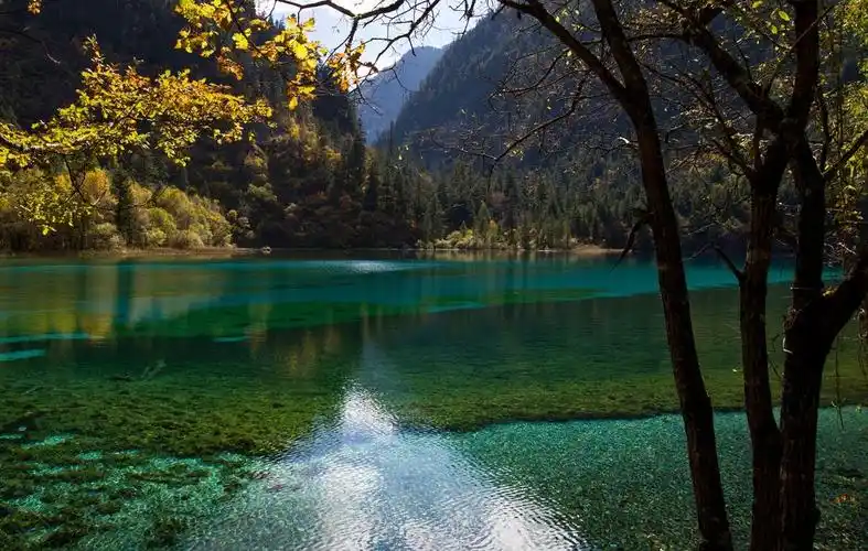 秋色_ 自然风景 _ 中国风景摄影网