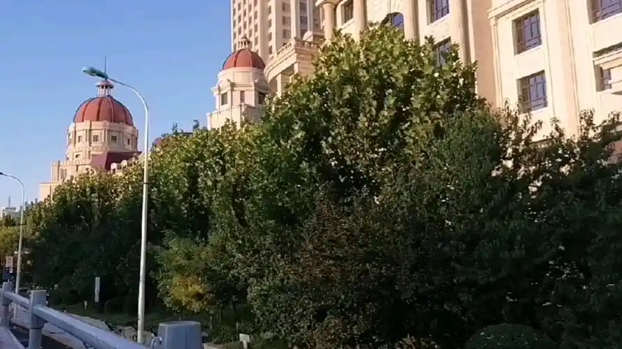 photophobia_04091c 关注photophobia_2021