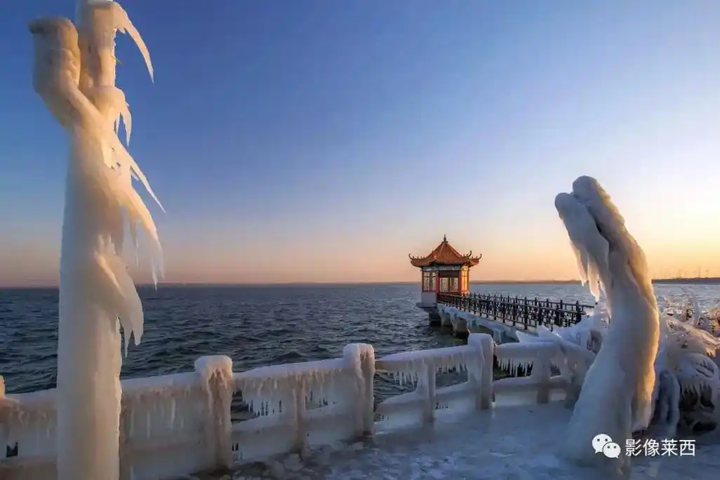 冬季的莱西湖,摄影的好去处##自由和远方 过年是三九四九最冷 - 抖音