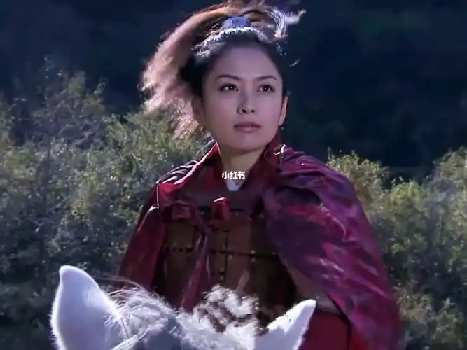 封神演义邓婵玉忠义贞烈