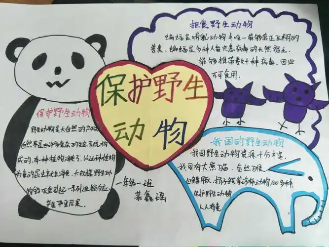 敬畏生命,保护野生动物——榆林高新小学一年级一班手抄报