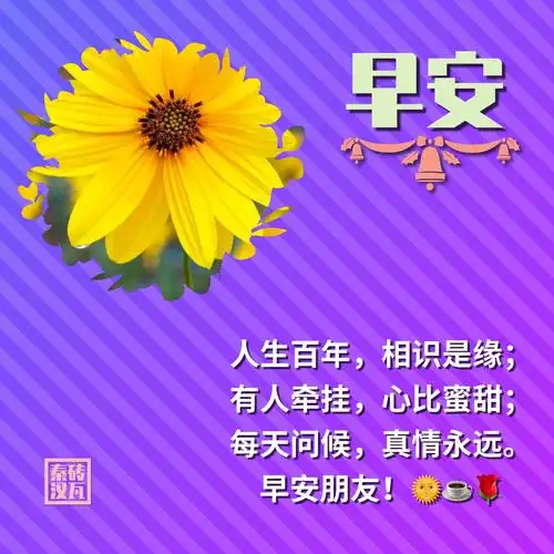 人生百年,相识是缘; 有人牵挂,心比蜜甜; 每天问候,真情永远.