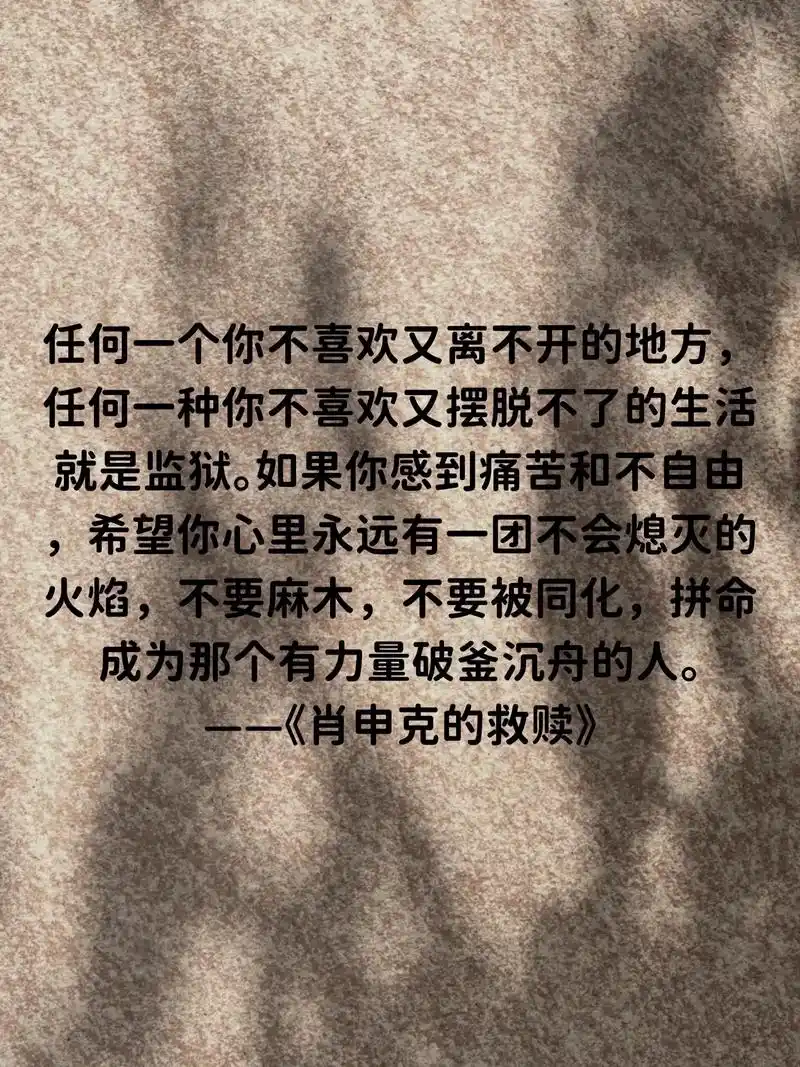 肖申克的救赎任何一个你不喜欢又离不开的地方就是监狱如果你感到痛苦