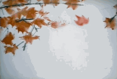 400_270gif 动态图 动图