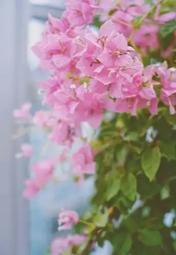 让你领悟人生看懂世事的句子,精致唯美,触动心灵!