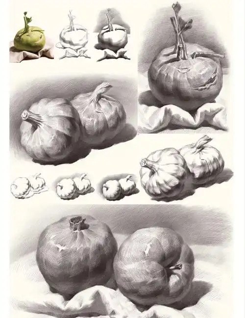 静物素描单个临摹赶紧保存学习起来