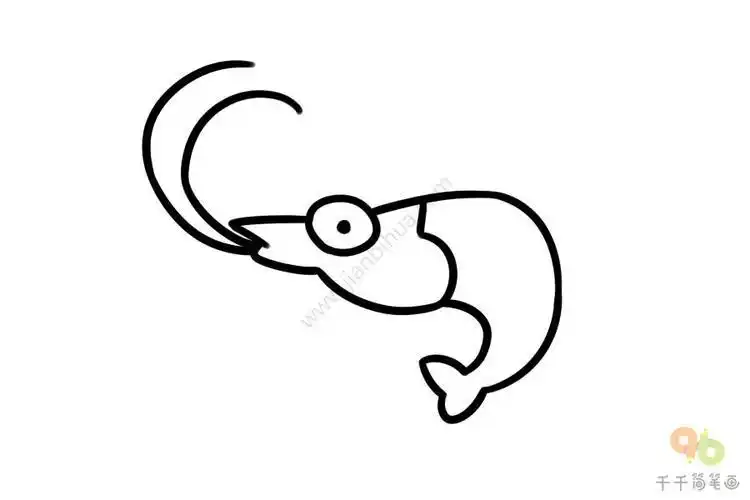 画虾怎么教孩子一步一步画虾简笔画步骤图解动物篇小虾的简笔画分解