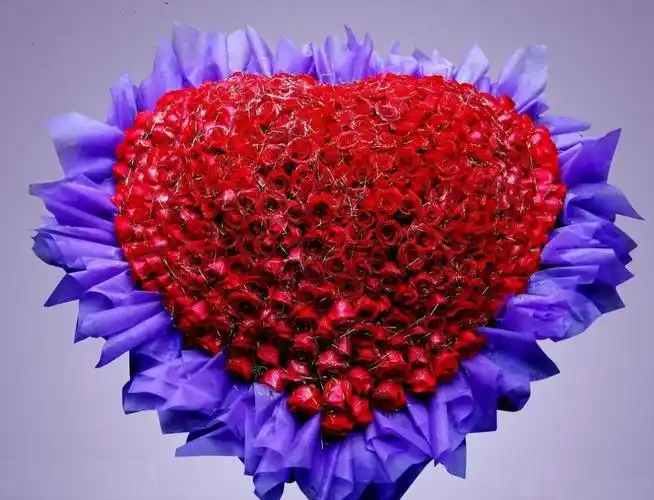 代表爱情长久的999朵玫瑰花图片