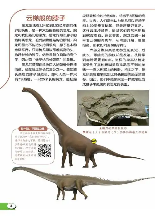 "侏罗纪的长颈鹿"——腕龙--中国数字科技馆