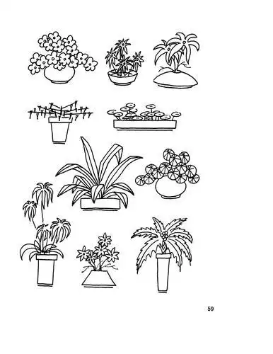 动物景物静物简笔画