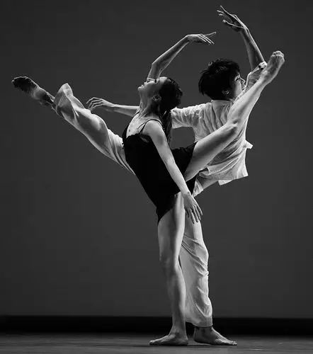 排空古今中外男女双人舞舞台摄影作品荟萃   1