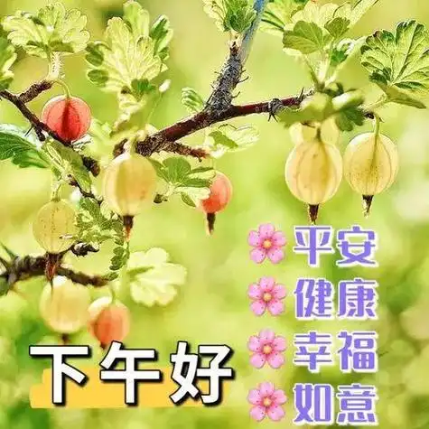 下午好图片大全下午好祝福语图片下午好问候图片