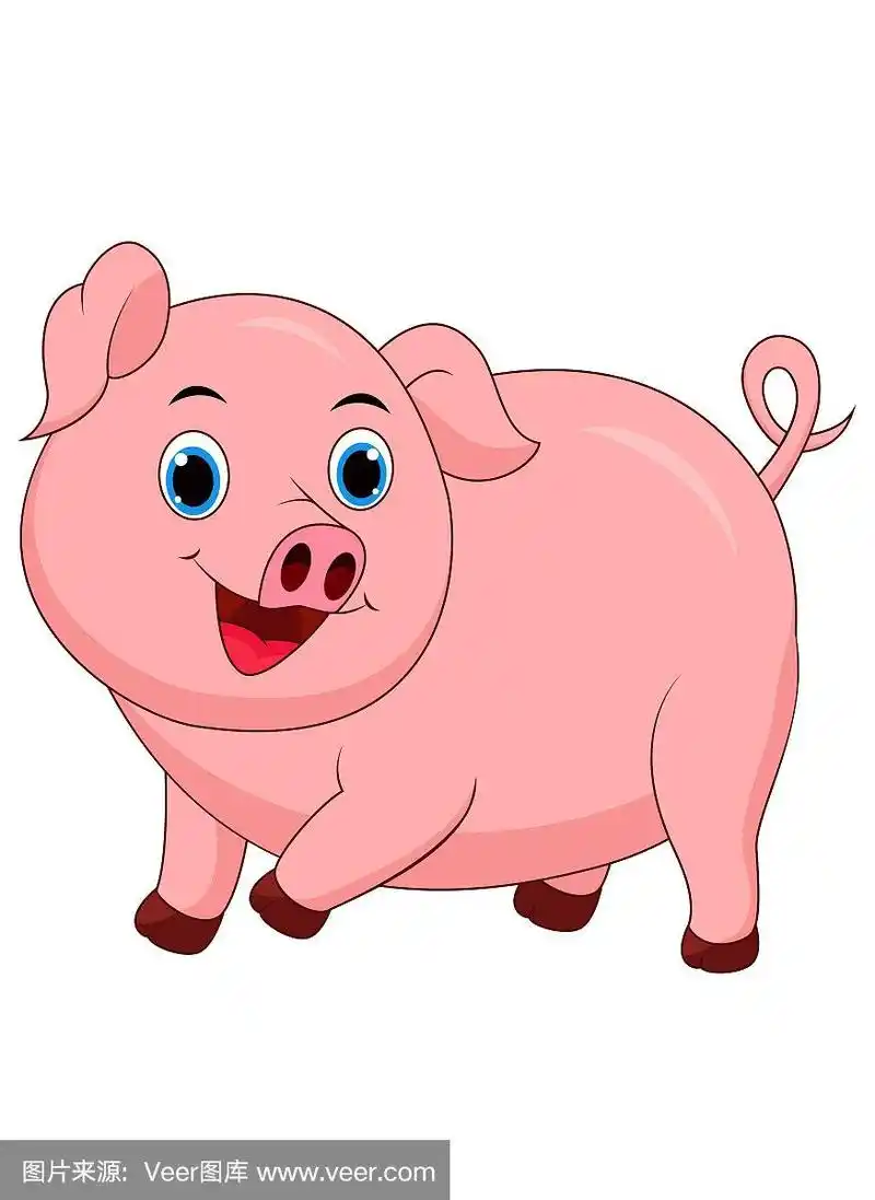 可爱的猪卡通孤立在白色的背景