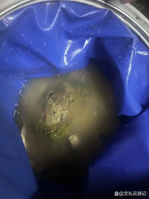 今天周末虽然下了一会雨但是还是很多人,周一到周六人