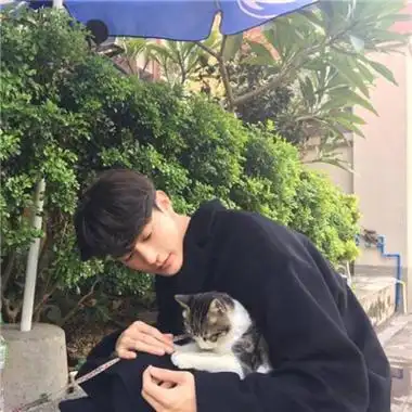 男生帅气森系有意境头像