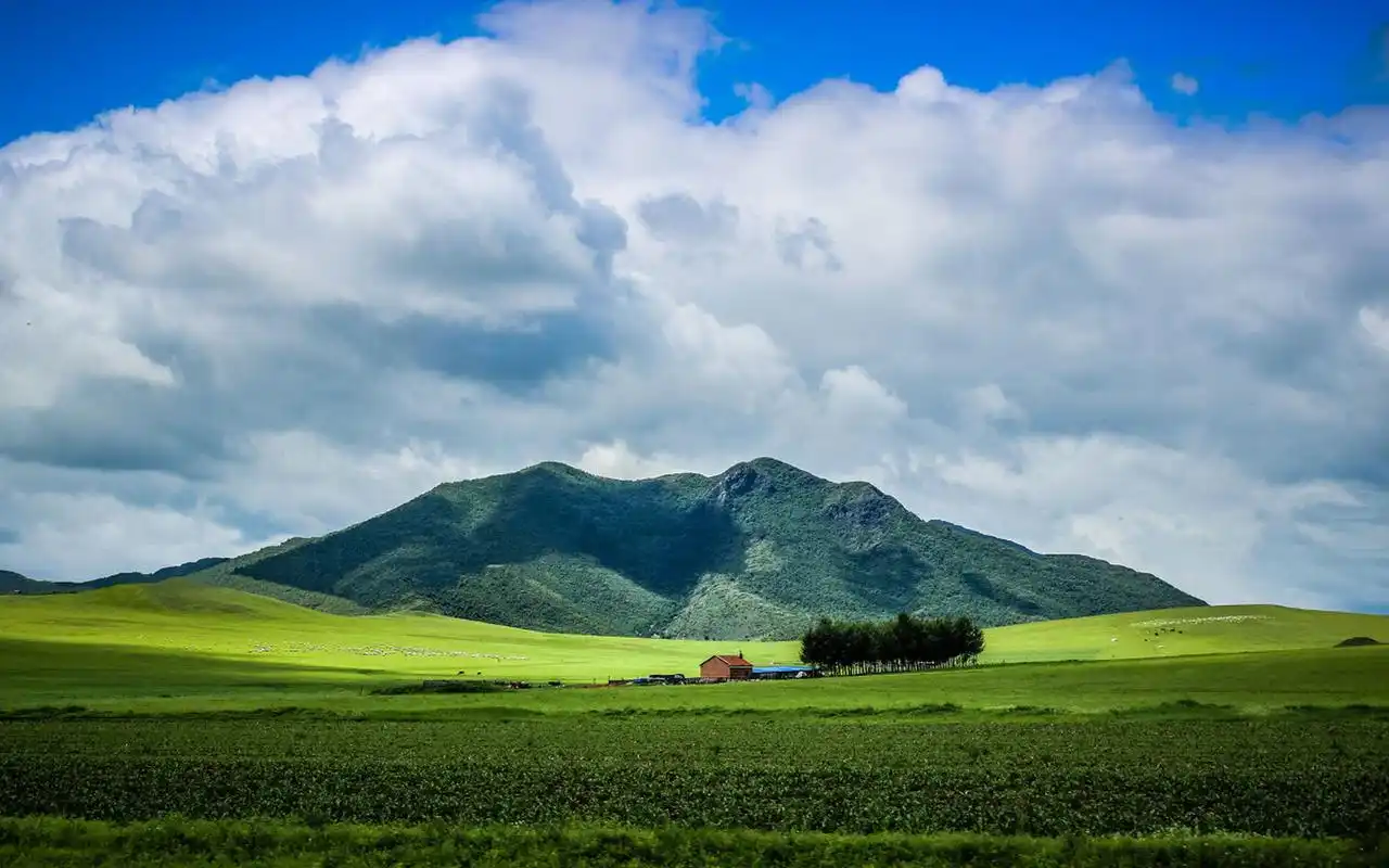 大草原壁纸_大草原桌面壁纸_高清大草原壁纸大全_美桌网