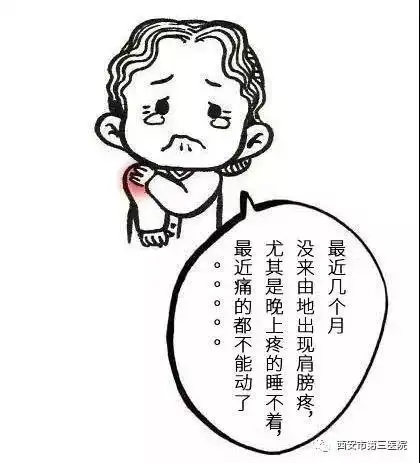 近日门诊,有位孙女士抱着左上臂,表情痛苦,原来近4月以来,孙