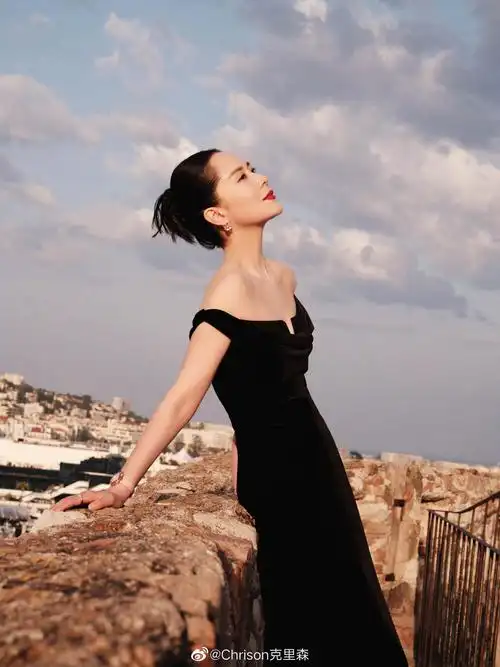 海清以简约黑裙加明艳红唇亮相戛纳《狩猎者》红毯……_高清图集_新浪