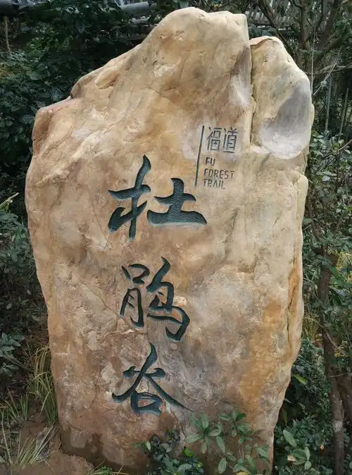 实时:福州金牛山福道人山人海