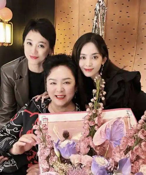 而且迪丽热巴这次的搭配也是比较高级的,她选择了一款黑色的深v领上衣