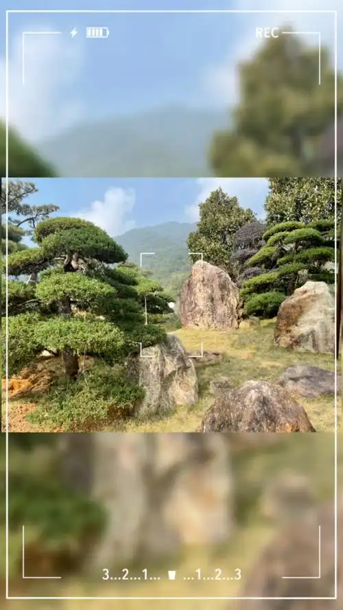 景观石草坪点缀造景罗汉松搭配景观石造园