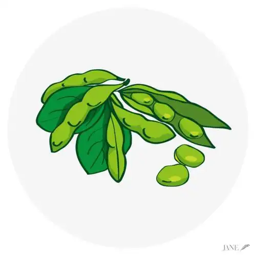 与毛豆为伍,和游戏共长