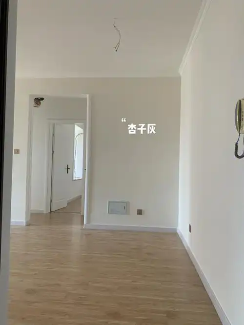 立邦乳胶漆杏子灰奶咖