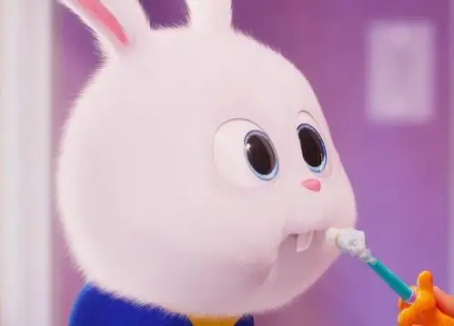 爱宠大机密2小白