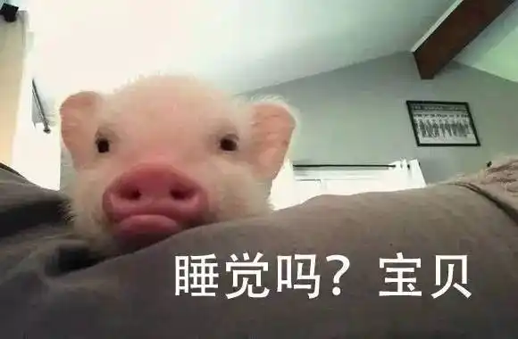 滚回家搓屌去吧,傻逼表情包 - 表情图