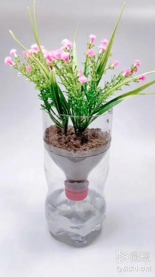 塑料瓶改装成这样的花盆,不用天天浇水
