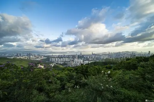塘朗山上看深圳