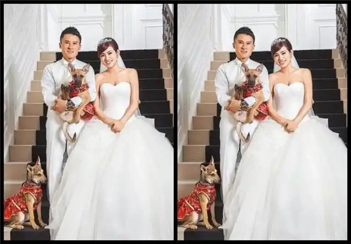 米可白老公谢铭杰资料背景 米可白嫁了富豪老公