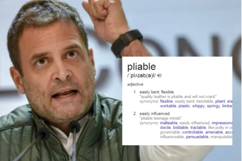 googling pliable to make sense of rahul gandhi accusing